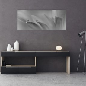 Tablou - Picătură pe floare,alb-negru (120x50 cm)