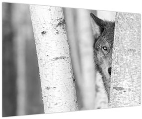 Tablou - Lupul din pădure (90x60 cm)