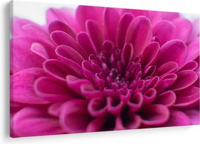 Tablou cu floare (90x60 cm)