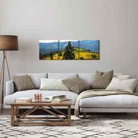 Tablou - Lunca de munte (cu ceas) (90x30 cm)