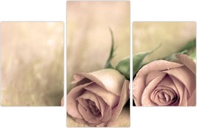 Tablou - Trandafiri fine (90x60 cm)