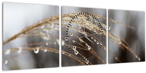 Tablou - Picături pe plantă (cu ceas) (90x30 cm)