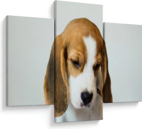 Tablou cu bigl (90x60 cm)