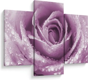 Tablou detaliu de floare de trandafir (90x60 cm)