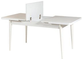 Masă de sufragerie extensibilă cu 2 scaune și 2 bănci Vlasta (alb + antracit). 1073083