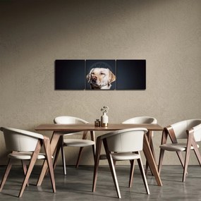 Tablou cu labrador (cu ceas) (90x30 cm)
