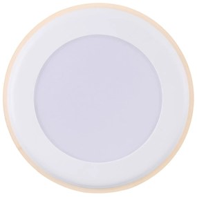 Spot LED incastrabil Elkton 14 / 2700K / 3-Step MOODMAKER