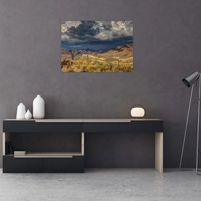 Tablou pe sticlă - cactușii în natură (70x50 cm)