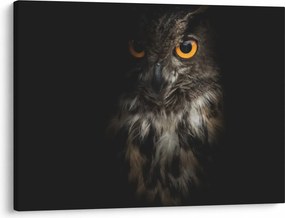 Tablou cu bufnița (70x50 cm)