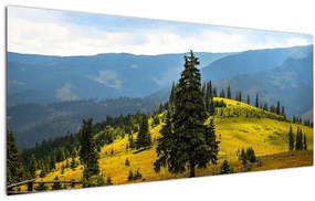 Tablou - Lunca de munte (120x50 cm)