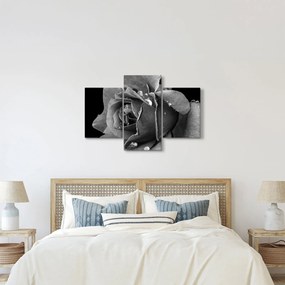 Tablou cu trandafir - albneagră (90x60 cm)