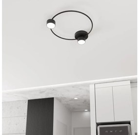 Plafonieră LUCIO 2xGX53/12W/230V negru