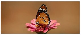 Tablou cu fluture pe floare (120x50 cm)
