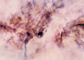 Tablou - Fantasy II. (70x50 cm)