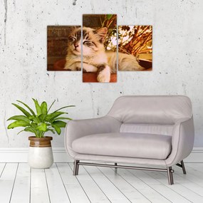 Tablou cu pisica în ghiveci (90x60 cm)