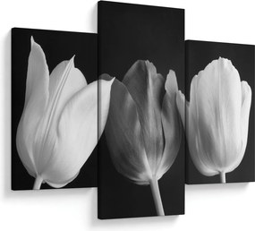 Tablou - Lalele alb negre (90x60 cm)
