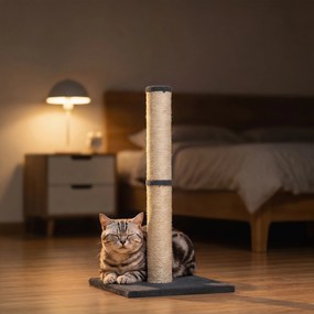 PawHut Ansamblu de Zgâriat Ușor pentru Pisici, 80 cm, cu Frânghie din Sisal, Bază din PAL și Pluș, Gri Închis | Aosom Romania