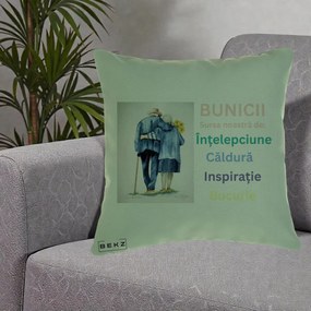 Cadou pentru Bunici - Perna Personalizata Bunicii Sursa Intelepciune Caldura Acuarela, 40x40 cm, Verde, Husa Detasabila, Perna Inclusa, BEKZ®