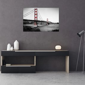 Tablou cu pod (90x60 cm)