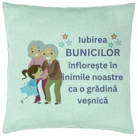 Perna Decorativa pentru Bunici 2, 40x40 cm, Verde Menta, Husa Detasabila, Burduf