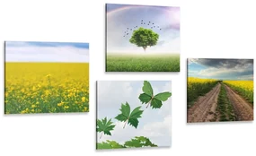 Set tablouri natura orbitoare