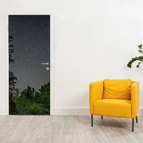 Fototapet pentru ușă - Cerul noaptea (95x205cm)