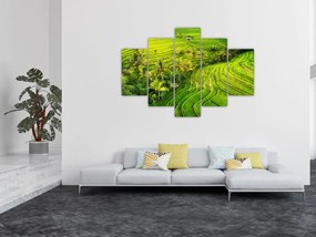 Tablou - Terase de orez (150x105 cm)