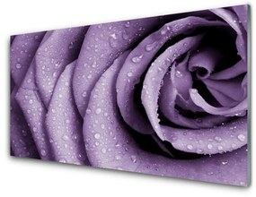 Tablouri acrilice Rose Floral violet