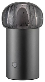 Corp de iluminat pentru exterior LED portabil cu intensitate reglabilă cu USB ø 10 cm Iris – Blomus