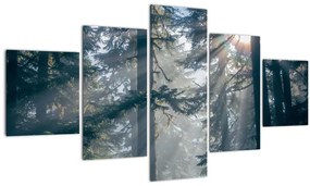 Tablou cu copaci și soarele translucind (125x70 cm), în 40 de alte dimensiuni noi