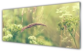 Tablouri acrilice Plante sălbatice Floral Alb Verde Brun