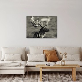 Tablou - Cerb (70x50 cm)