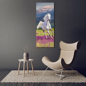 Tablou pe pânză Cal alb în galop