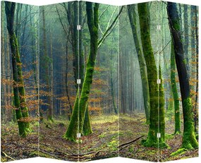 Paravan - Pădure (210x170 cm)