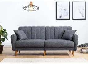 Canapea extensibilă Aqua Dark Grey