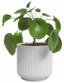 Ghiveci din ceramică ø 15 cm Luna – Artevasi