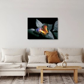 Tablou pe sticlă cu fluture (70x50 cm)