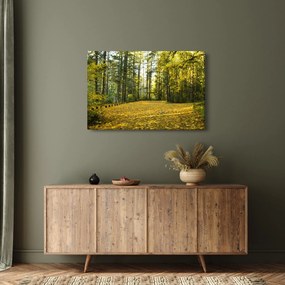 Tablou - pădurea toamna (90x60 cm)