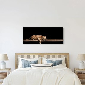 Tablou - Lioness (120x50 cm)