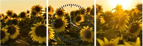 Tablou cu lan de floarea soarelui (cu ceas) (90x30 cm)