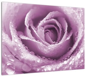 Tablou pe sticlă detaliu de floare de trandafir (70x50 cm)