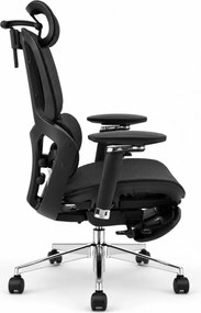 Scaun ergonomic ANEW ARYSE D4 Pro, Suport lombar dual adaptiv 360°, Tetieră 3D, Cotiere 5D, Șezut Glisant Zero-Pressure din Mesh, Suport picioare, Bază metalică, Negru