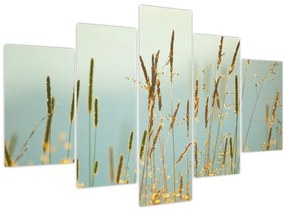 Tablou - Luncă (150x105 cm)