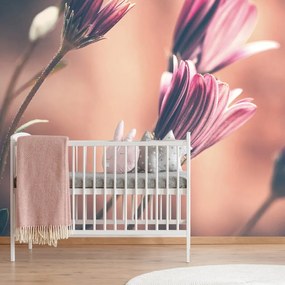 Fototapet autoadeziv flori roz delicate