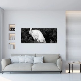 Tablou - Păun,alb-negru (120x50 cm)