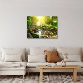 Tablou cu râul în pădurea verde (70x50 cm)
