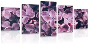 Tablou 5-piese flori violete de liliac