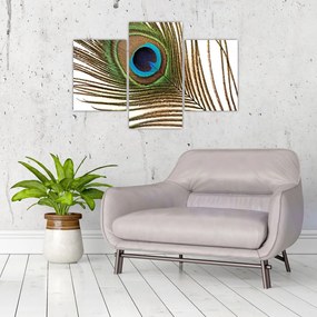 Tablou cu pene de păun (90x60 cm)