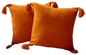 Fețe de pernă 2 buc. 43x43 cm Puskul – Mioli Decor