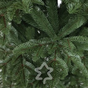 Brad Caucazian 100 % 180 cm